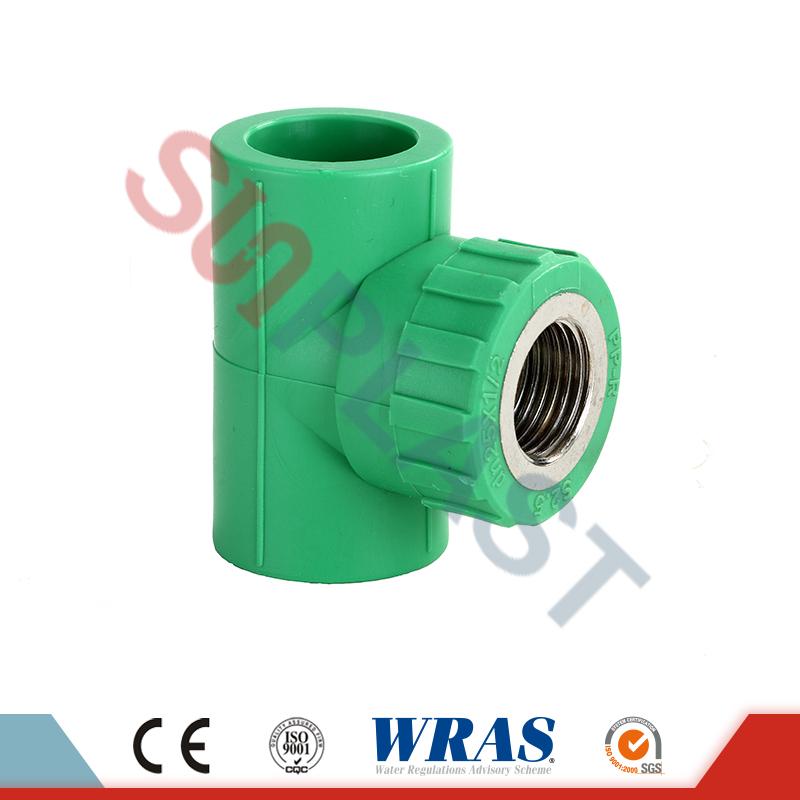 Áo thun nữ DIN8077 PPR